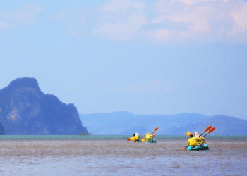 Navigating the Mangroves of Krabi: Ao Thalane's Hidden Kayak Trails